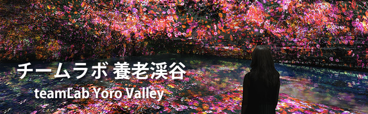 チームラボ養老渓谷